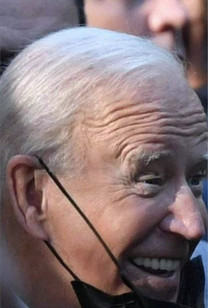 FAKEBiden1.png