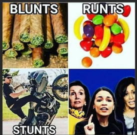 BluntsRuntsStuntsAndCunts.png