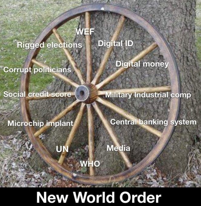 photo_2022-03-31 12.54.01.jpeg