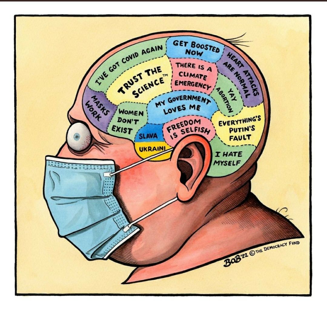 photo_2022-04-08 10.57.31.jpeg